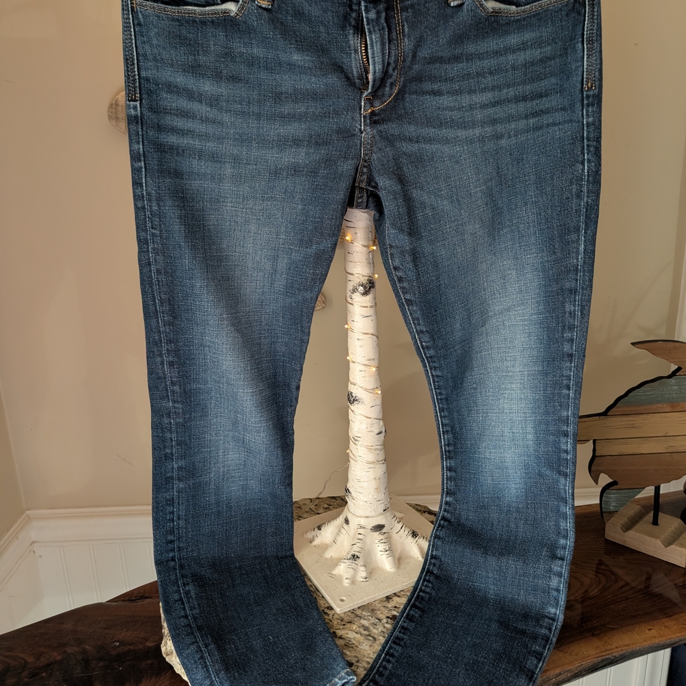 Banana Republic Skinny Jeans in Dark Blue Wash